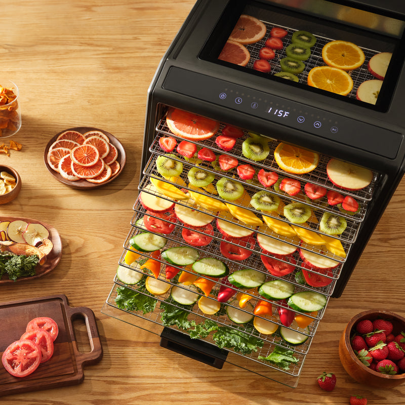 Excalibur 10 Tray Performance Digital Dehydrator, in Stainless Steel