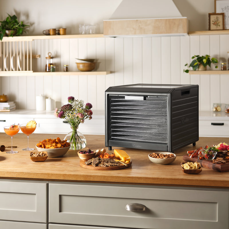 Excalibur 10 Tray Performance Digital Dehydrator, in Stainless Steel