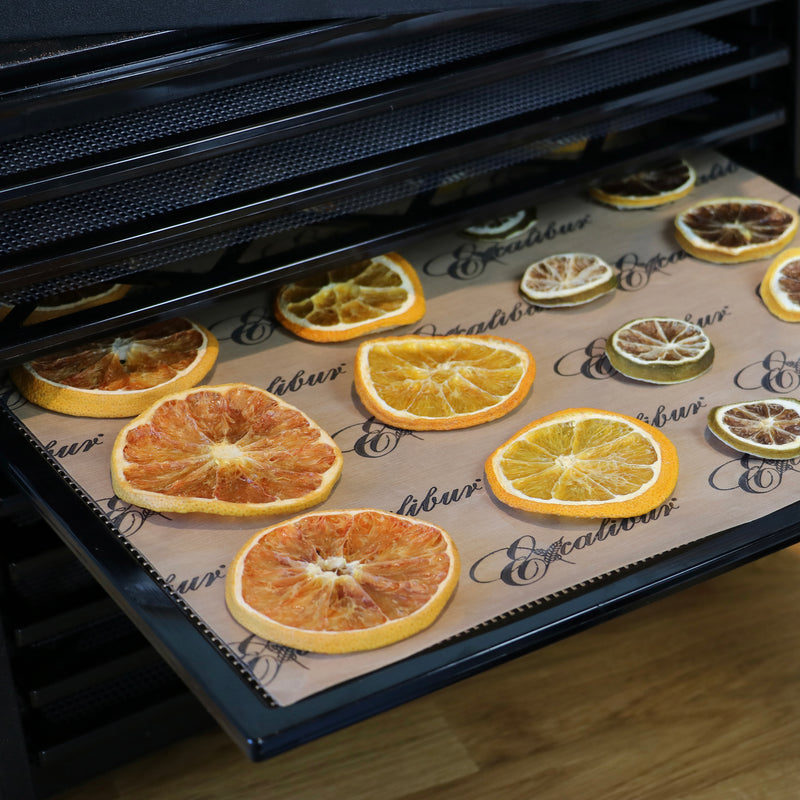 Excalibur ParaFlexx Reusable Non-Stick Drying Sheets for Food Dehydrators