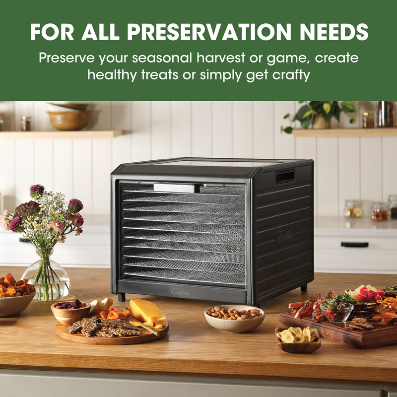 Excalibur 10 Tray Performance Digital Dehydrator, in Stainless Steel
